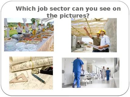 Job sectors
