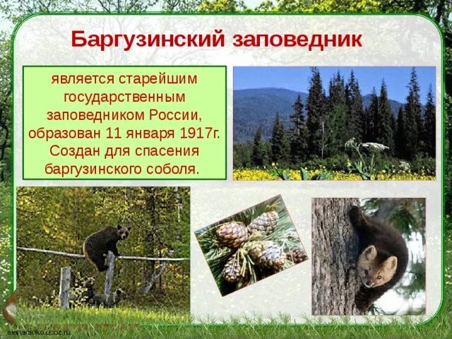 Проект на тему заповедные части еао Заповедники и национальные парки в татарстане какие есть фото
