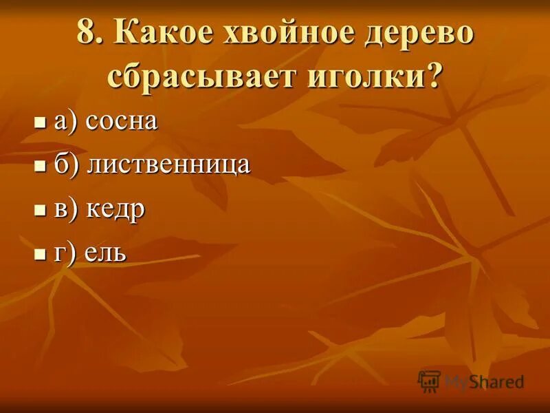 Тесты природные зоны 5 класс