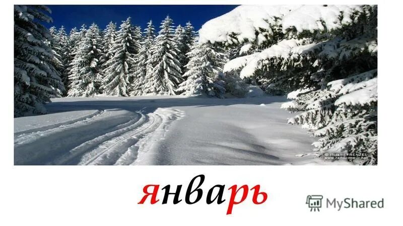 Январь текст. Январь словарное слово. словарное слово декабрь. словарное слово февраль. словарное слово январь в картинках.
