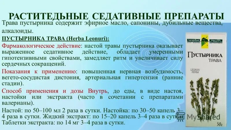 Пустырника трава ф/п 1,5г №20 бад herbes. Трава пустырника оказывает действие. Пустырник чай. Пустырник сердечный лекарственные препараты. Пустырник лечебное растение.