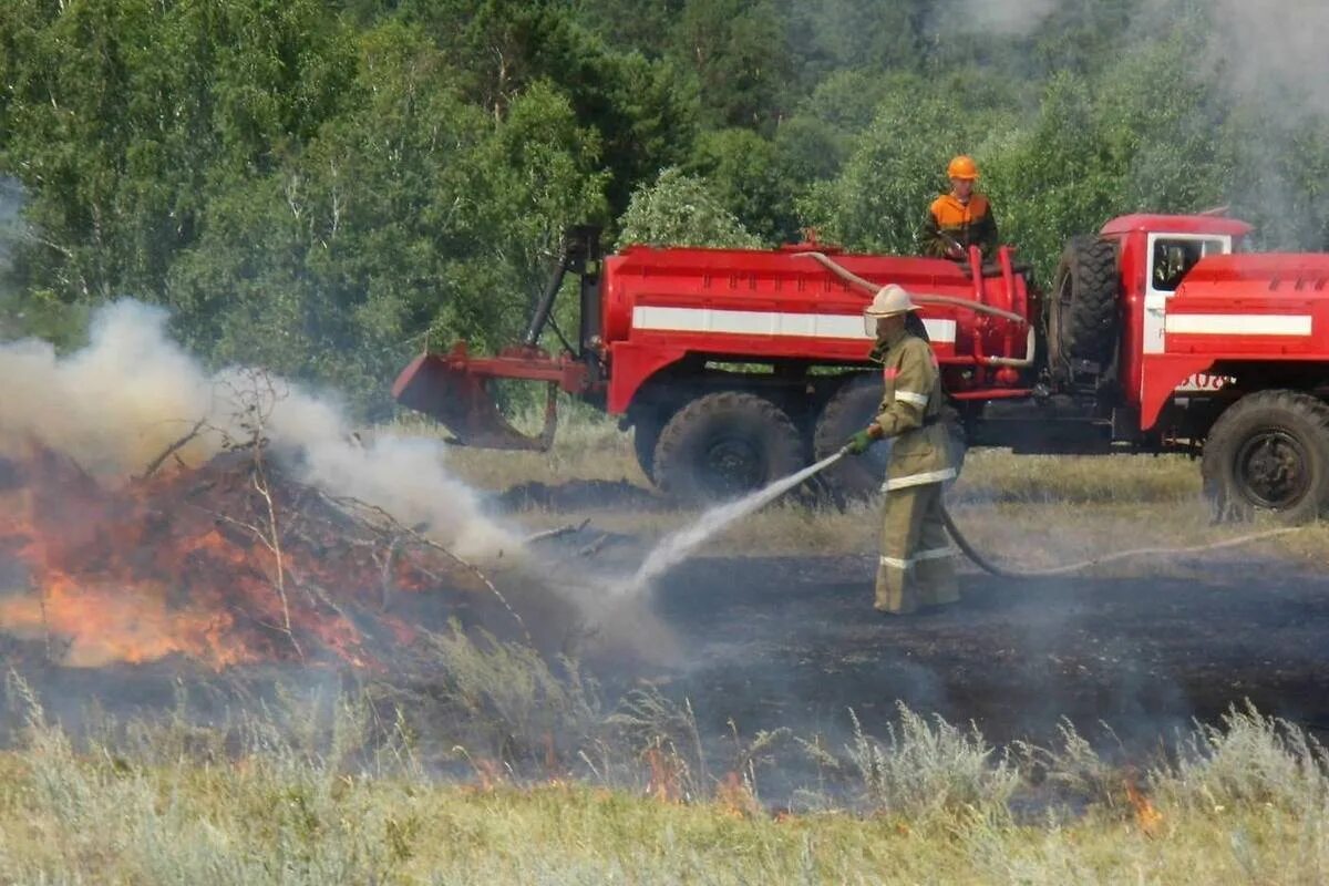 Техника используемая при тушении пожаров. Тушение пожара. Машина для тушения лесных пожаров. Пожарная машина для лесных пожаров. Пожарная машина тушит Лесной пожар.