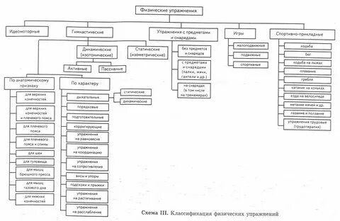 Физиологические основы классификация физических упражнений
