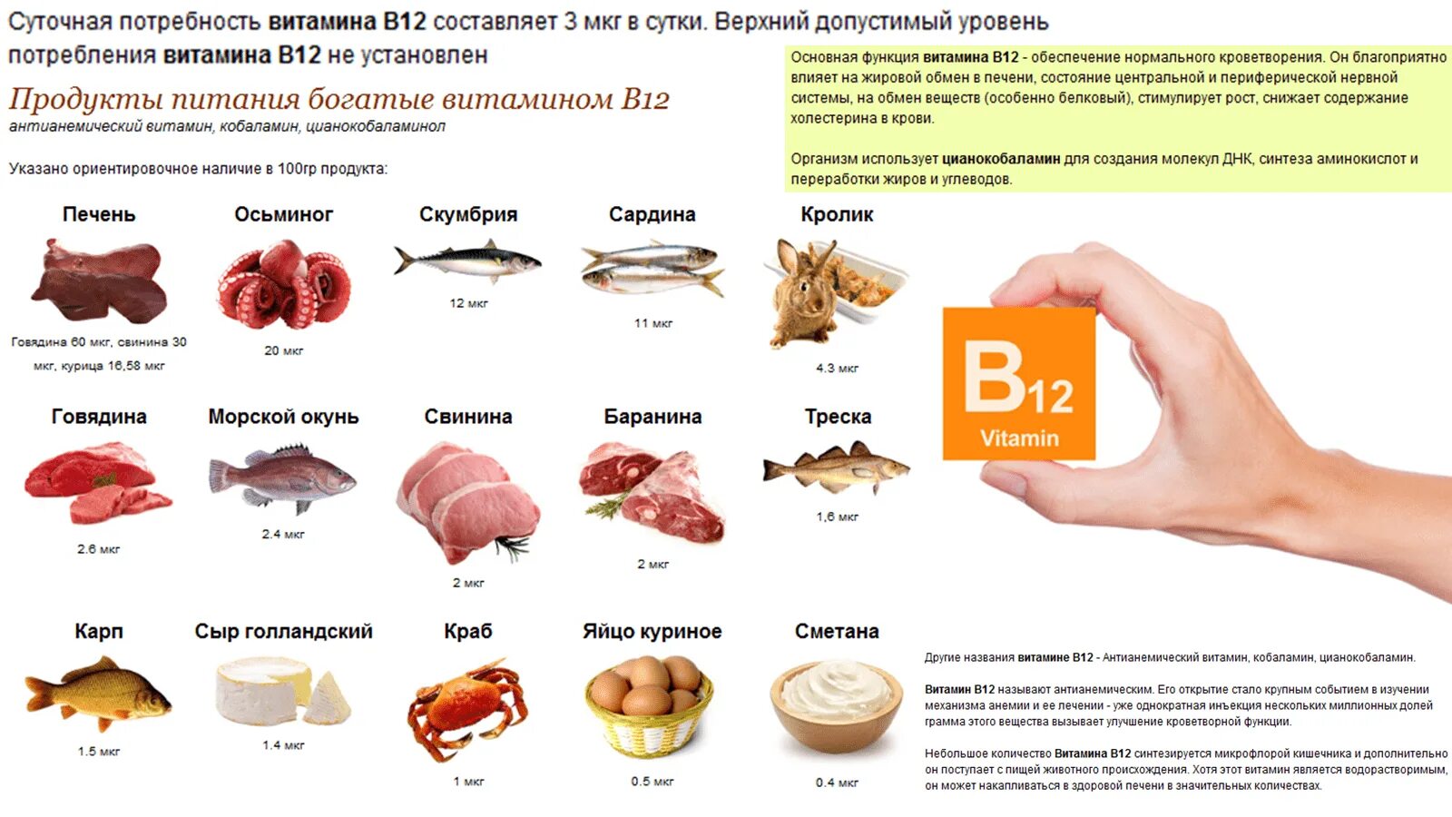 Можно ли печень при холестерине. Продукты содержащие витамин в12 и в6. Источники витамина в12 в продуктах питания. Продукты богатые витамином в12. Продукты богатые витамином в12 таблица.