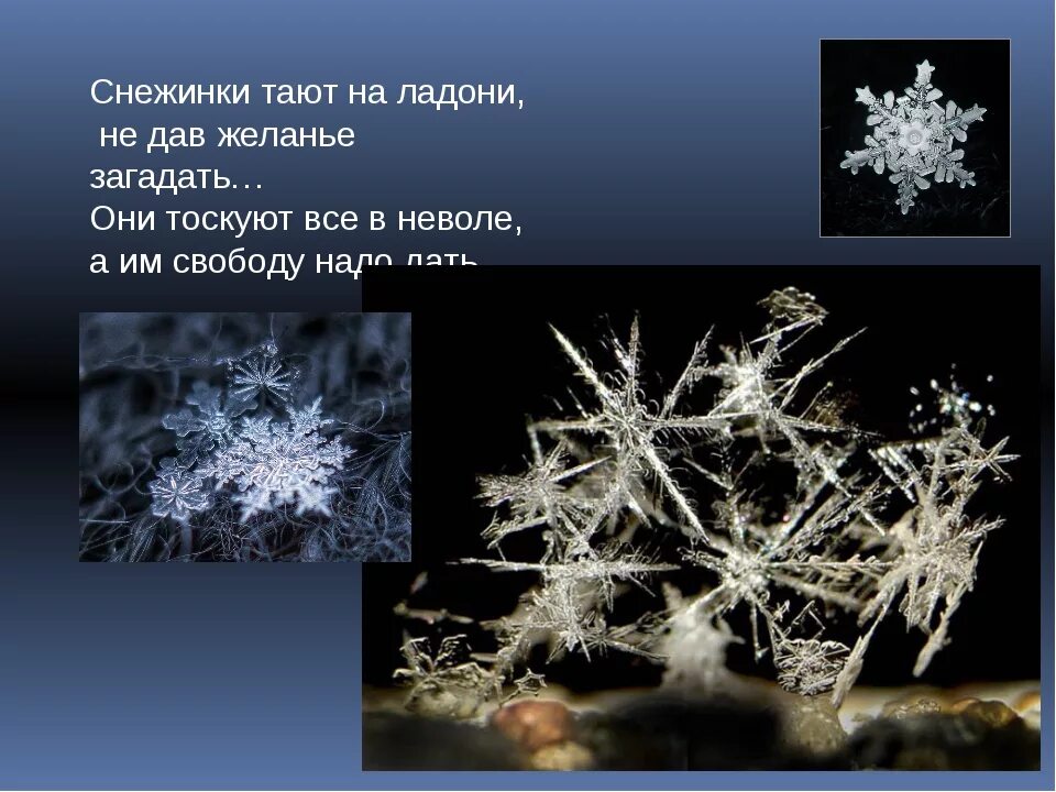 Снежинка тает. Снежинка на ладони. Тающие снежинки. Кристаллы снега. Снежинки тихо кружась ложились на землю