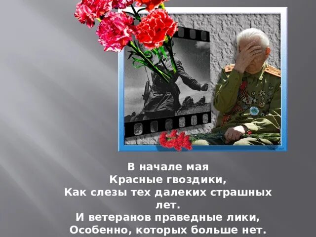 Начало мая стих. Красные гвоздики стихи. Гвоздики 9 мая. Стихи посвященные дню победы для детей. Акция алая гвоздика.