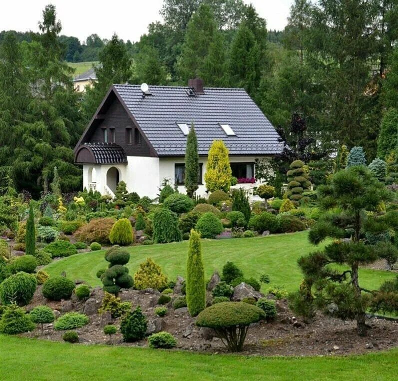 Скандинавский сад Front Yard. Ландшафт дачного участка. Скандинавский стиль в ландшафте. Красивый ландшафт. Биологический загородный