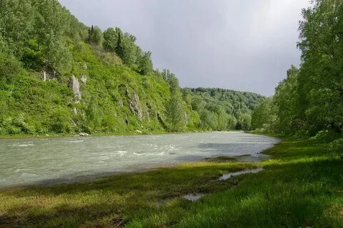 Белая река смысл