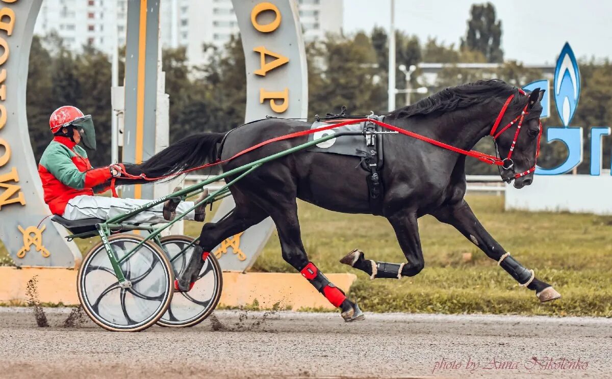 Игры про стант. Stunt bike 2 игра. Master riding. Master riding. Игра bike rider extreme.