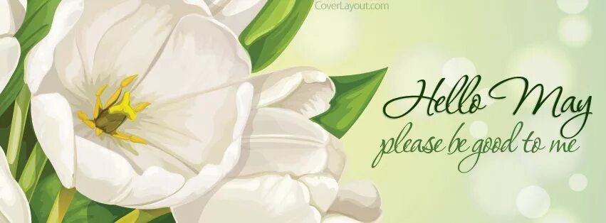 Привет апрель. Hello may please. Hello may надпись. Май надпись. Хелло май.