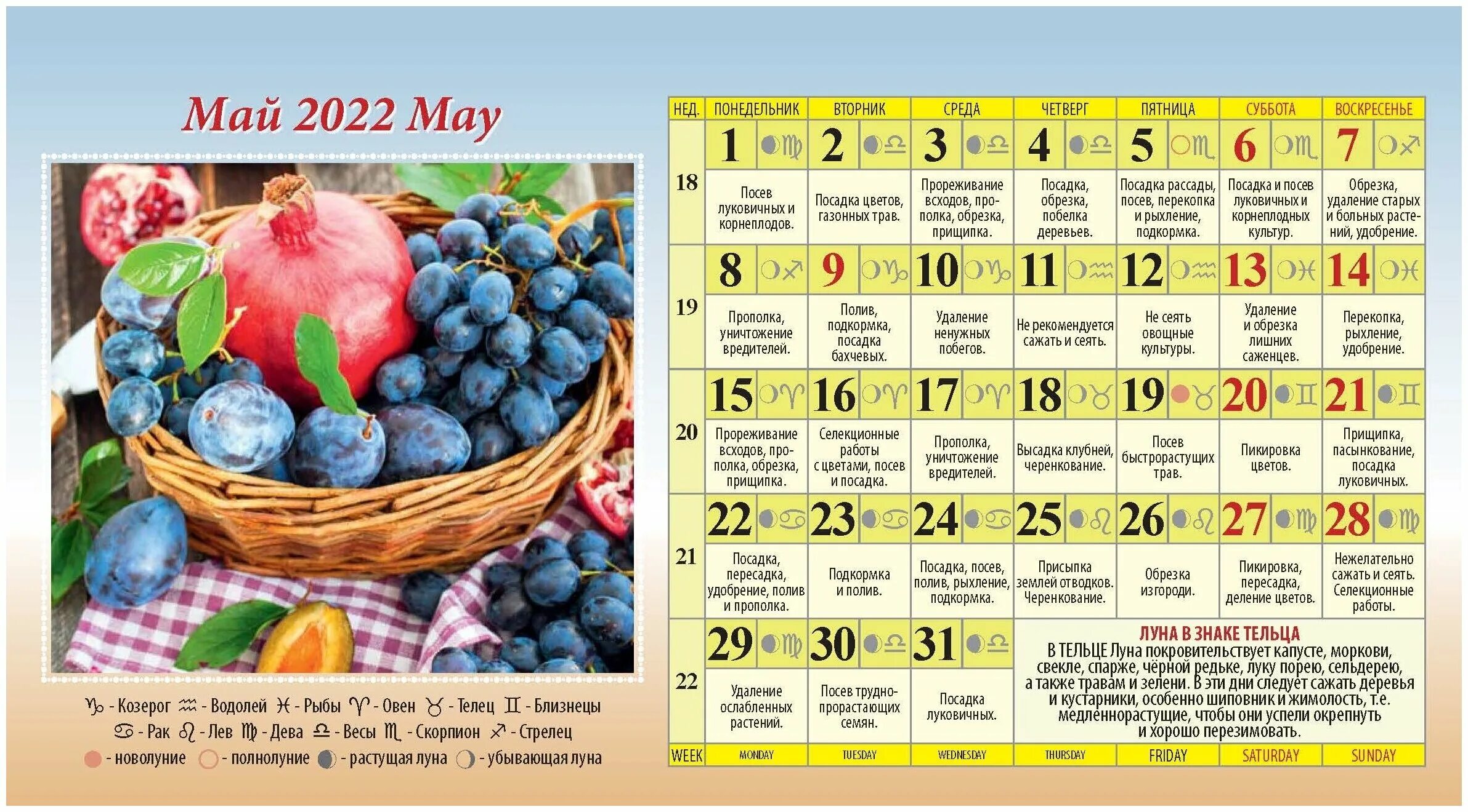 садово огородный календарь. огородный лунный календарь. садово-огородный лунный календарь на 2023 год. огородный лунный календарь. садовый календарь на этот год.
