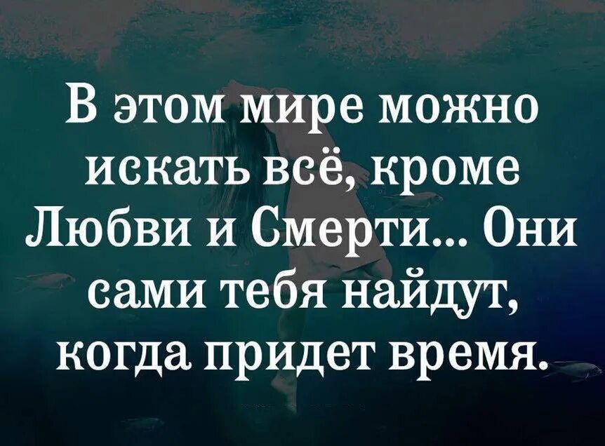 Есть все кроме любви