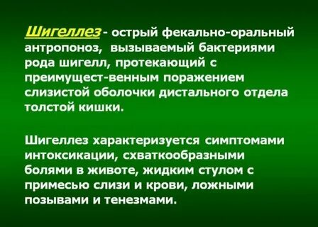 Шигеллез это