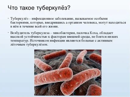 Туберкулез инфекционное заболевание