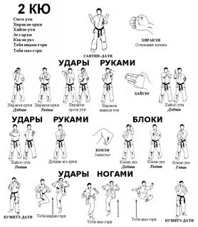 Иерархия в карате
