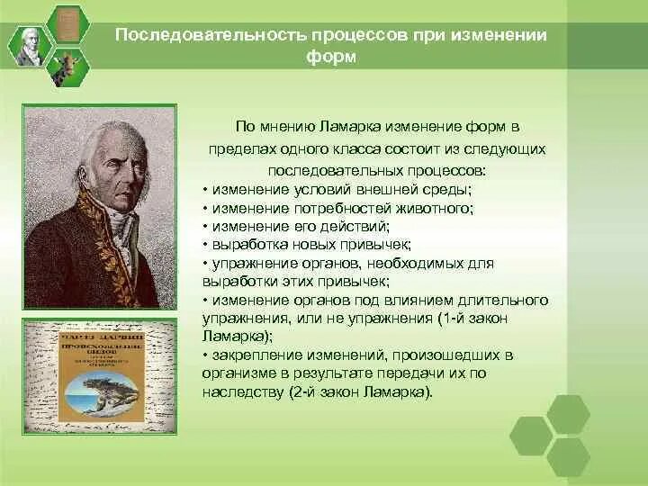 Гипотеза ламарка. Эволюционное учение Ламарка. Основные положения учения Ламарка. Эволюционная теория Ламарка. Эволюционная теория ж б Ламарка.