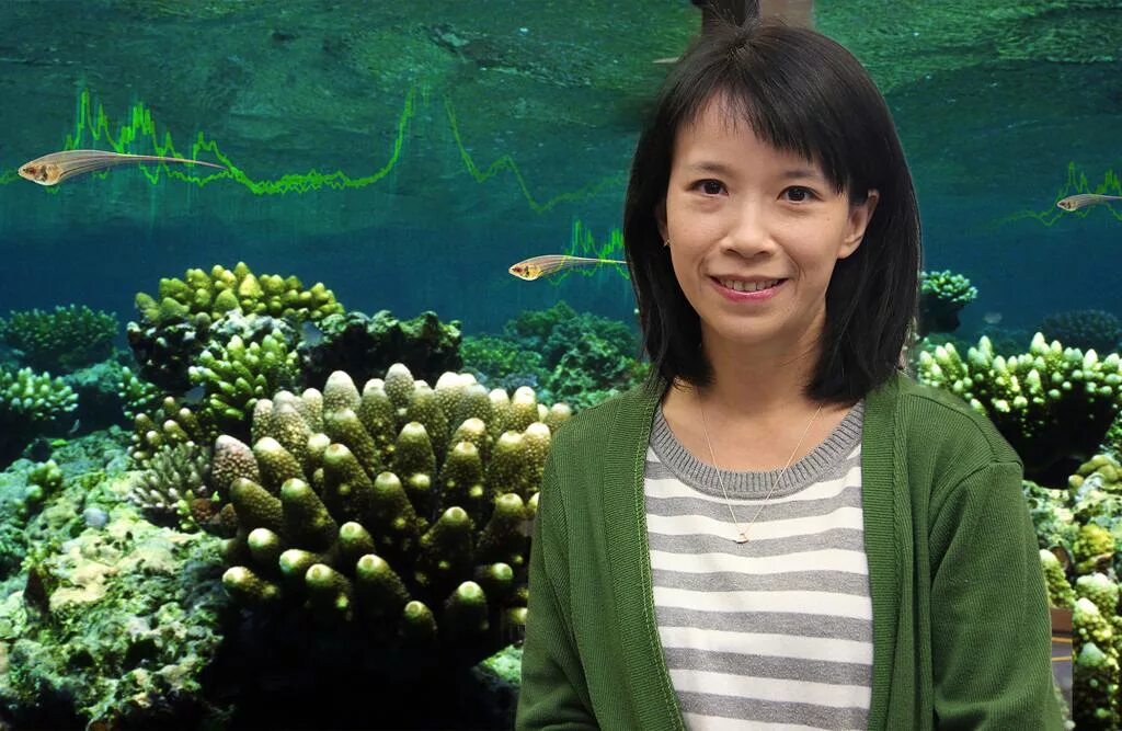 Ихтиолог женщина. Ученые ихтиологи. Ихтиолог изучает рыбу. Ихтиология наука о рыбах. Человек который изучает рыб.