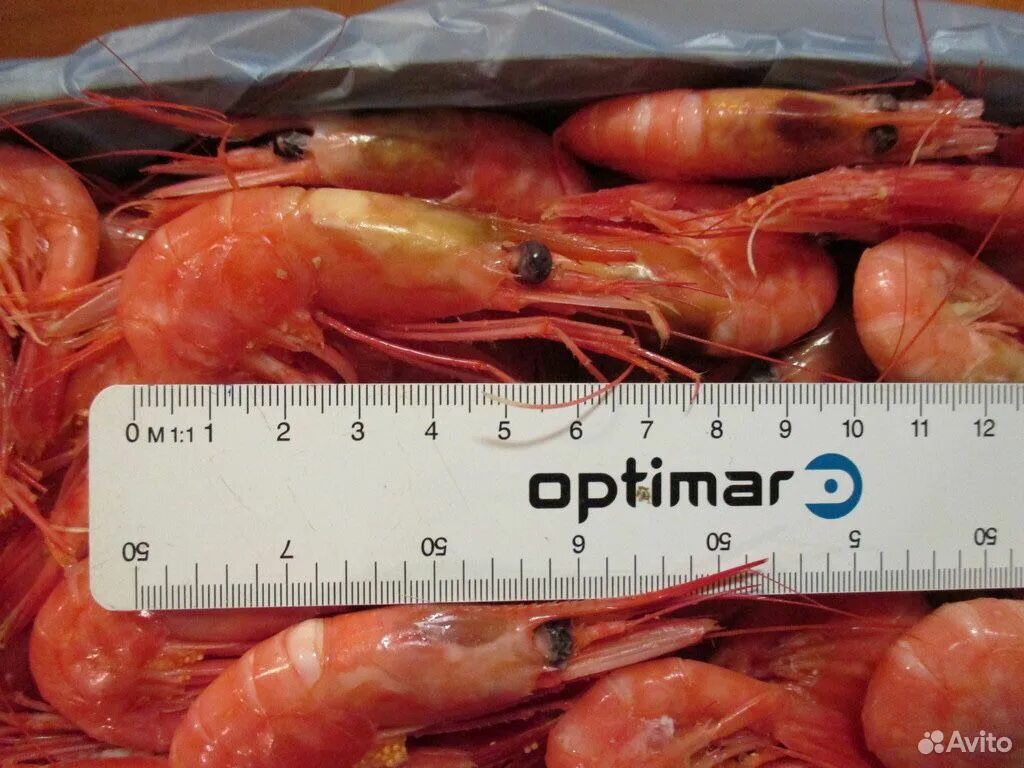 Размеры креветок. Креветки представители. Как определить креветки. Хитин креветки. Креветки презентация.