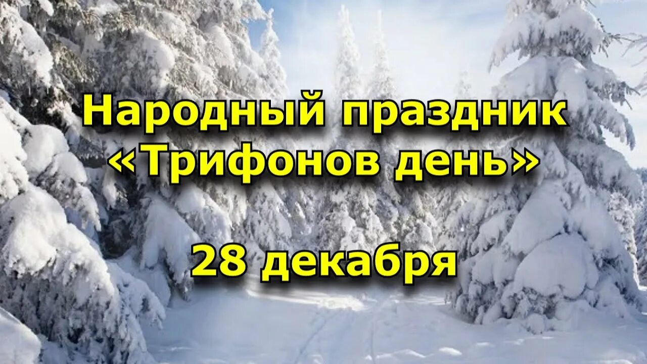 Примет 28 декабря. Трифонов день с праздником. Трифонов день 28 декабря. Трифонов день 28 декабря народный календарь. Трифонов день народный календарь.