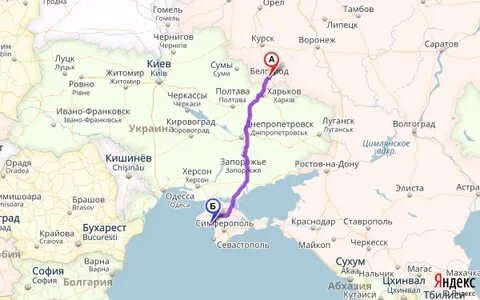 Курск сочи