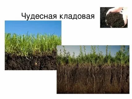 Листам участки