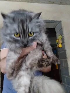 Ржев подсмотрено
