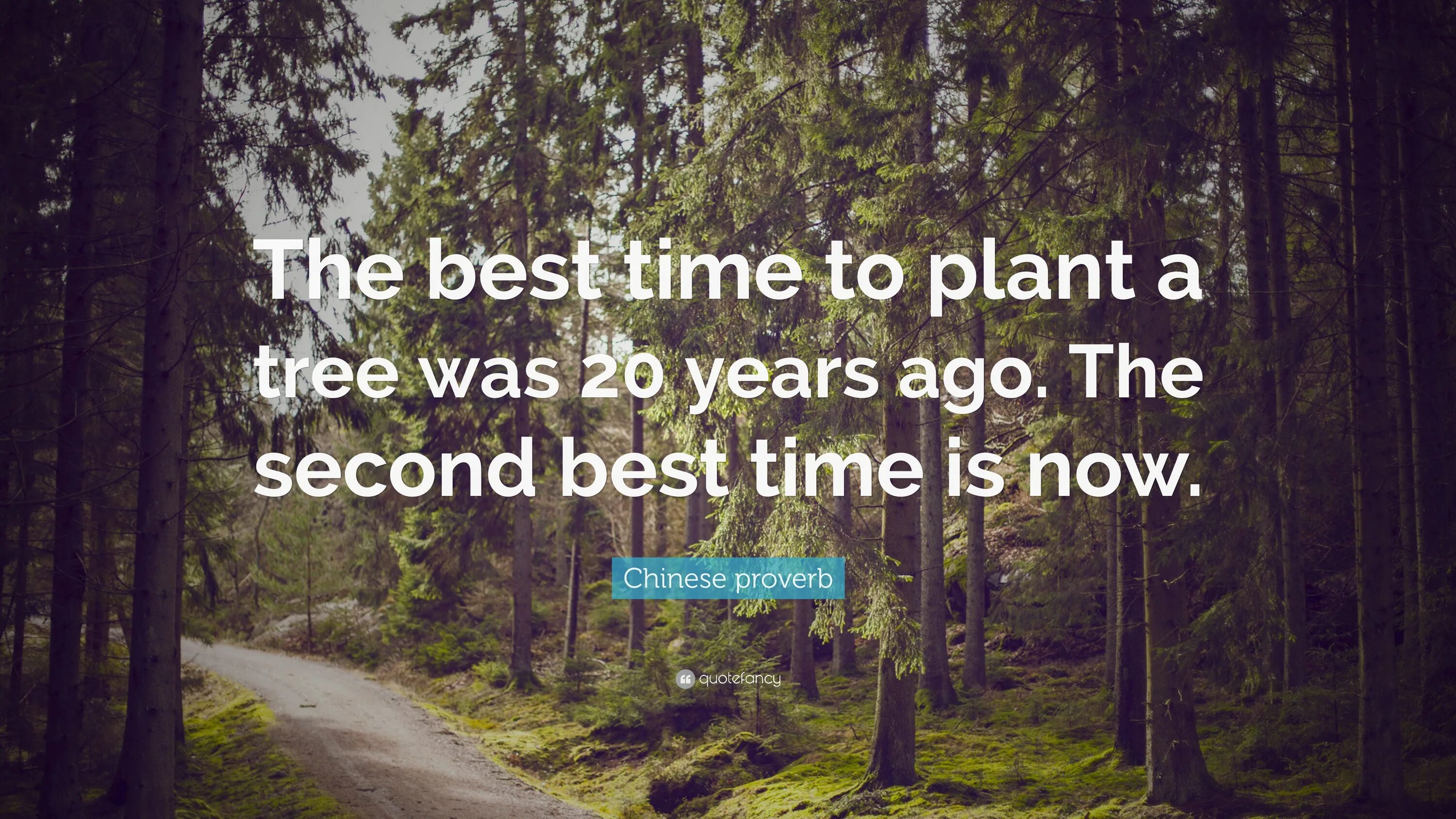 When my time has come. Not all who wander are lost обои. look deep into the nature and you will understand everything better. lost are. the best time to plant a tree quote.