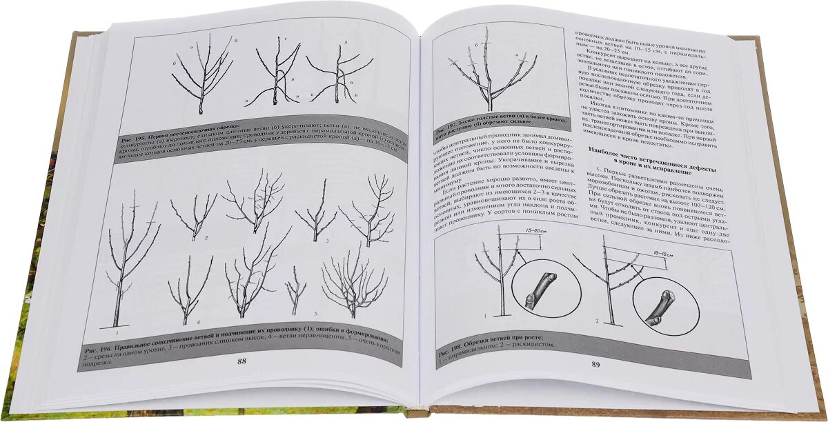 Обрезка плодовых деревьев книга. Кудрявец обрезка плодовых. самоучитель обрезка садовых деревьев. книги по обрезке плодовых деревьев.