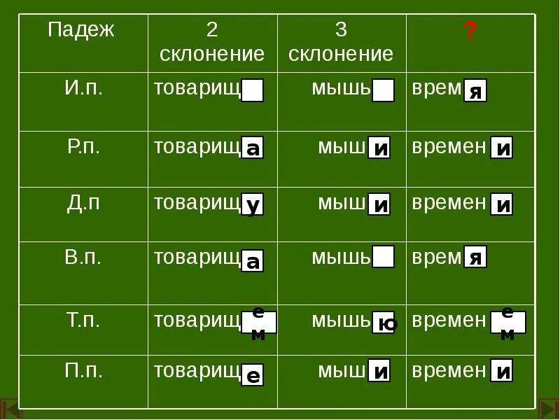 Белочка падеж. Мышь просклонять. Мышь просклонять по падежам. Просклонять по падежам слово мышь. Склонение слова мышь.