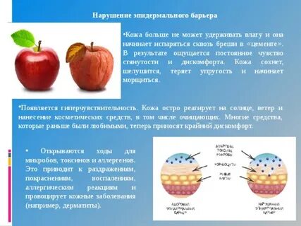 Как восстановить кожный барьер лица