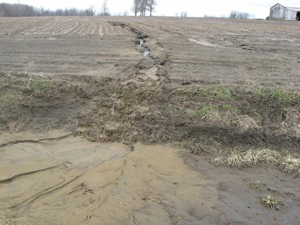 Плоскостная эрозия почв. Водная эрозия почв. Дождево капельная эрозия. Поверхностная водная эрозия. Размываемая почва