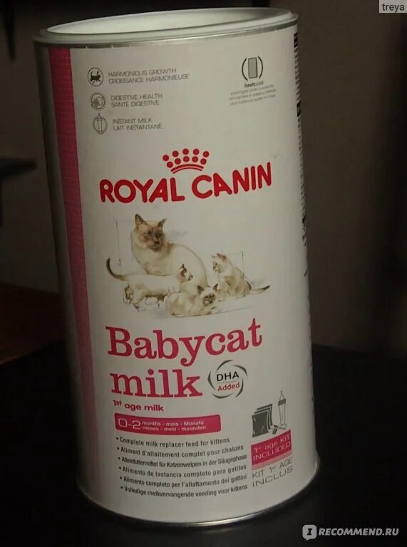 Royal canin babycat. Смесь для котят новорожденных Роял Канин. Заменитель кошачьего молока Роял Канин. Роял Канин для котят Babycat молоко. Сухое молоко Роял Канин для котят.