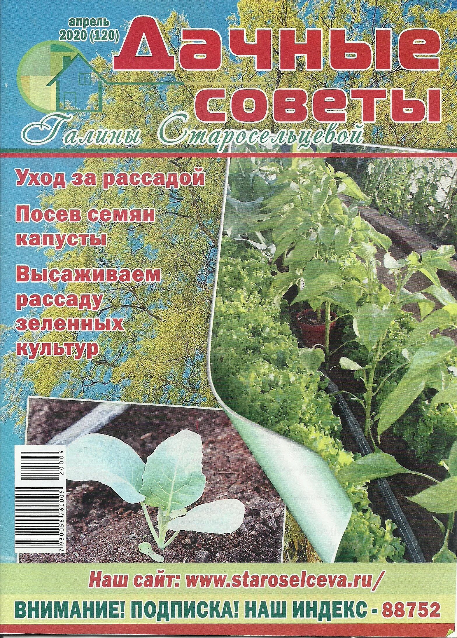 Дачные советы в картинках. Стрижка газона. Старосельцева дачные. Старосельцева дачные. Дачные советы.