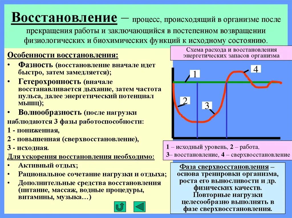 Восстановительные процессы в организме. Средства, ускоряющие восстановительные процессы в организме?. Особенностей восстановительных процессов. Восстановительные процессы в организме при физической культуре. Нагрузки и длительное время