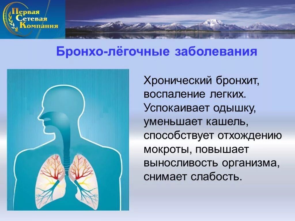 Бронхолегочные заболевания реабилитация. Бронхолегочные заболевания. Бронхо лёгочные заболевания. Хронические бронхо легочные заболевания. Бронзо легочные заболевания.