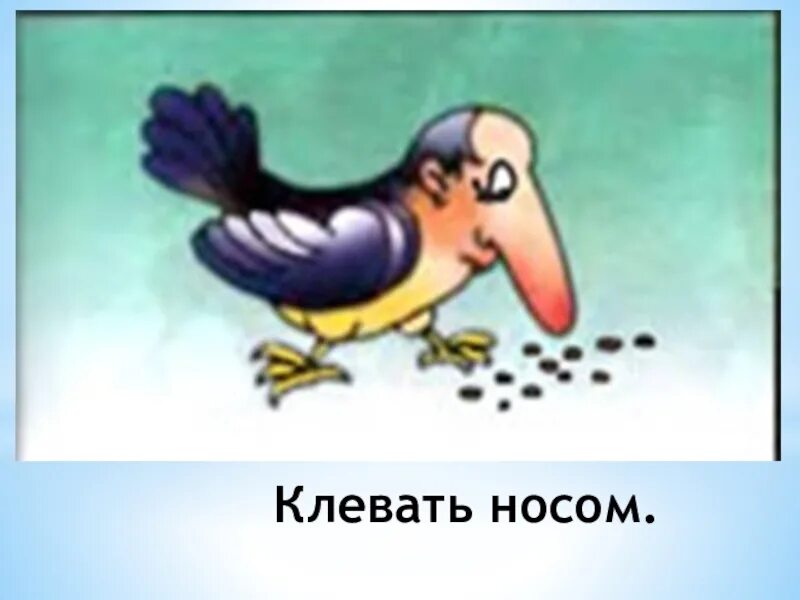 Клевать носом значение фразеологизма. Клевать носом фразеологизм. клевать носом рисунок. клевать носом картинка к фразеологизму. клевать носом рисунок фразеологизма.