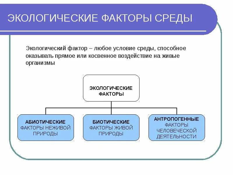 Факторы окружающей среды. Экологические факторы среды. Экологические факторы прямые и косвенные примеры. Экологические факторы прямого и косвенного воздействия. Влияние факторов прямое косвенное