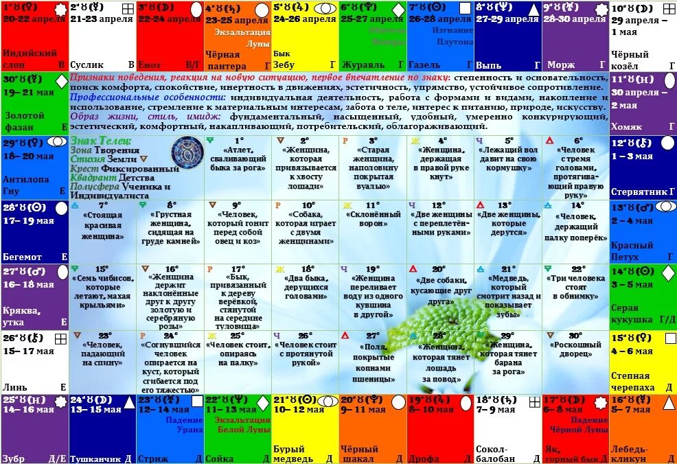 знаки зодиака белоруссия. градусы тотема глоба. натальная карта россии глоба. знаки верхнего зодиака символы. градусы тотема глоба.