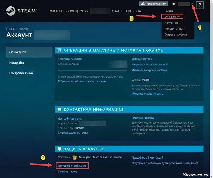 Выключить стим гуард. Браузерная версия стим. Стим чат. Настройки стим. Как выключить игру в стиме