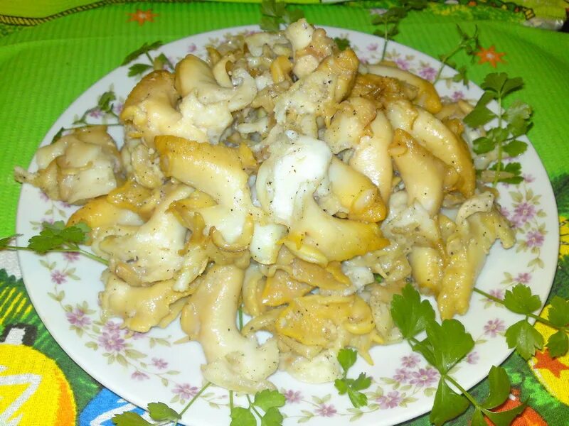 трубач моллюск. морепродукты трубач дальневосточный. трубач морепродукт. трубач рапан. трубач моллюск рецепт приготовления.