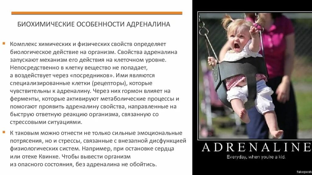 Адреналин особенности. Биохимические особенности адреналина. Адреналин презентация. Адреналин характеристика. Испытать адреналин