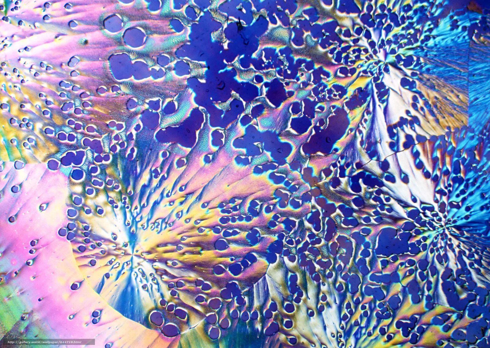 Кристаллы под микроскопом. Краска под микроскопом. Жидкие Кристаллы под микроскопом. Краситель под микроскопом.