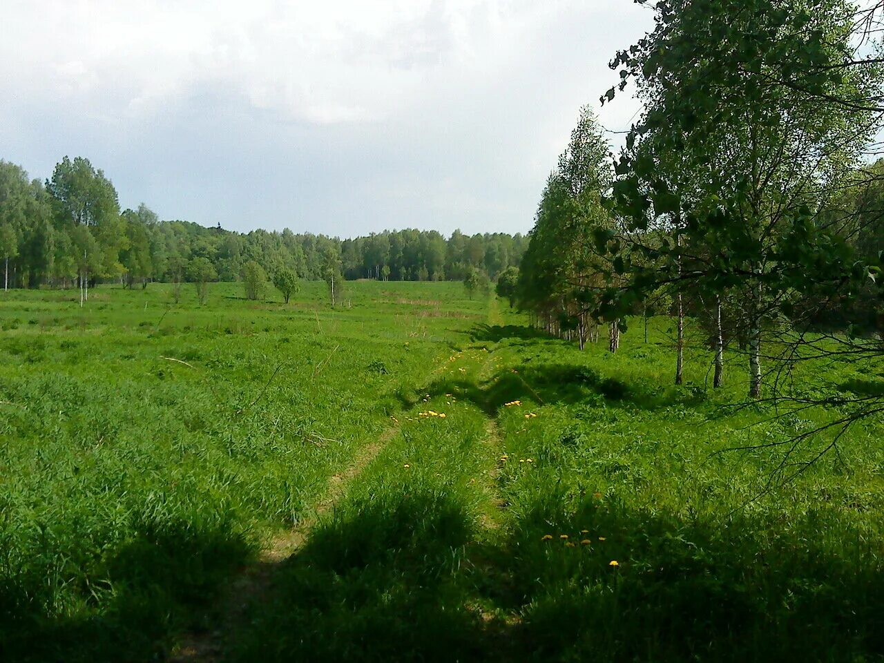 Индексы вяземского района. Деревня Путьково Вяземский район. Путьково Вяземский район Смоленская область. Река Осьма Дорогобужский район. Река Осьма Смоленская область.