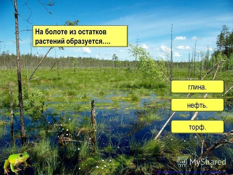 добыча торфа. торф это для детей. торфяное месторождение западной сибири. его добывают на болотах. его добывают на болотах.