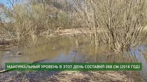 Наводнение в коврове