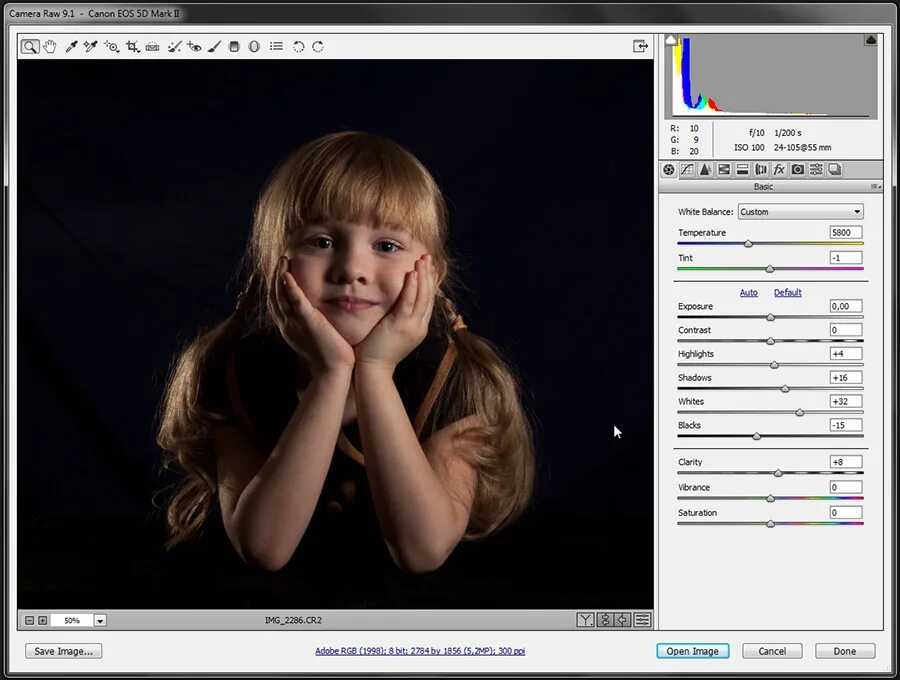 Camera raw как установить