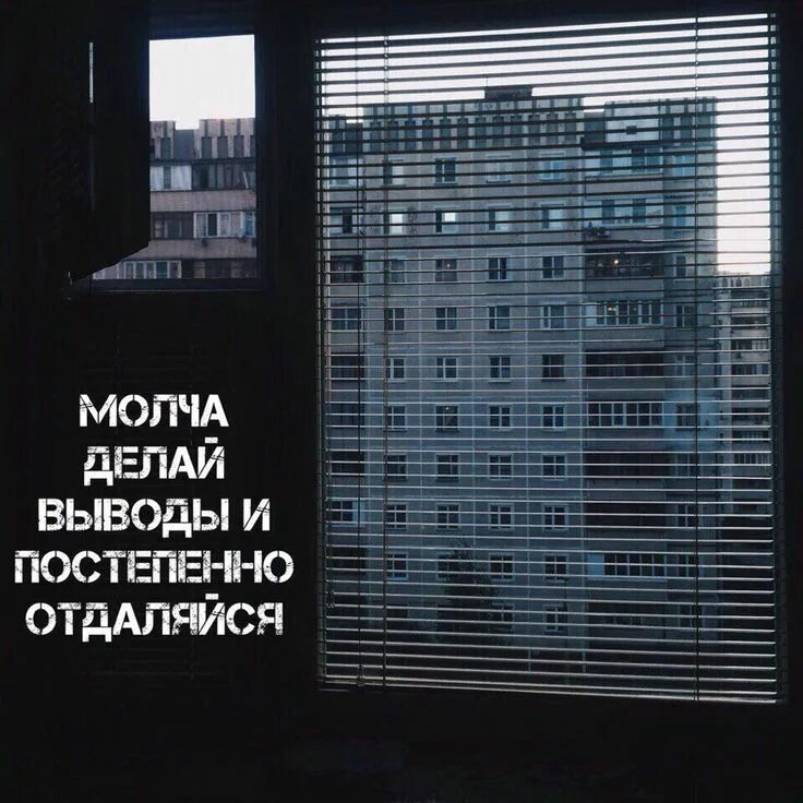 Делают молча выводы. Молча делай выводы и постепенно отдаляйся. делаю выводы и постепенно отдаляюсь. молча делай выводы. постепенно делай выводы.
