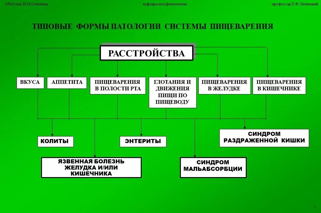 Что патология и тем. Этиология типовых форм расстройств пищеварительной системы. Типовые формы патологии системы пищеварения. Патофизиология пищеварения. Нарушение пищеварения патофизиология.