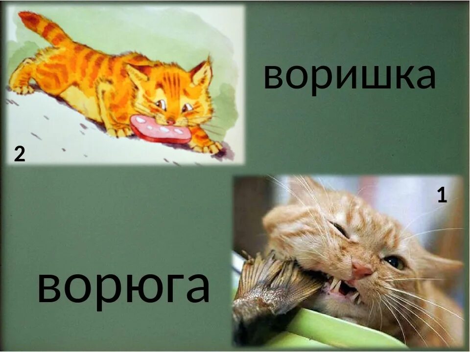 Кот ворюга паустовский вопросы. Кот ворюга. Паустовский к.г. "кот-ворюга". Кот ворюга Паустовский 2. Рыжий кот ворюга.