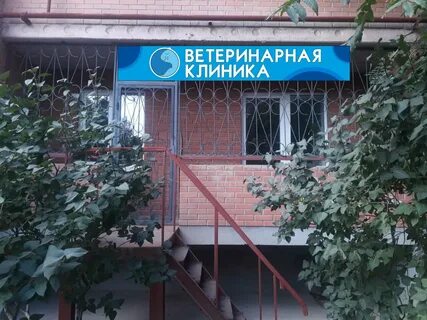 High Five, ветеринарная клиника, Весенняя ул., 40, Волгодонск, Россия - Яндекс.К